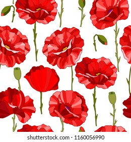seamless pattern with poppy flowers