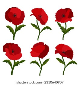 Patrón sin foco con fondo de flores de amapola.Eps 10 vector.