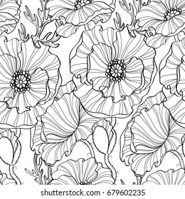Seamless pattern with poppy flowers. Floral background. Black and white illustration