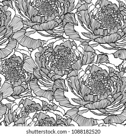 Seamless pattern with poppy, Peonies or roses flowers