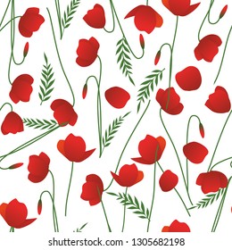 Seamless pattern of poppy stems, leaves and flowers isolated on white background.