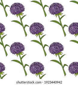Seamless pattern with positive violet aster flowers on white background. Vector image. 