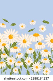 Seamless pattern for postcard or poster with daisies. Chamomile vector floral illustration for congratulations or decor etc. Flowers for spring and summer holidays. Festive template can add text.