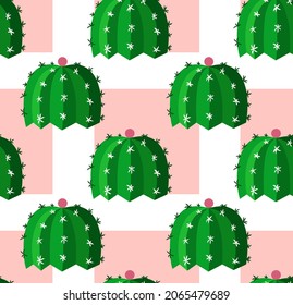 Seamless pattern or poster depicting a green cactus with a hint of boobs on a pink background.