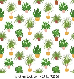 Seamless pattern with potted house plants monstera, dracaena in colorful flower pots. On a white background. Vector illustration.