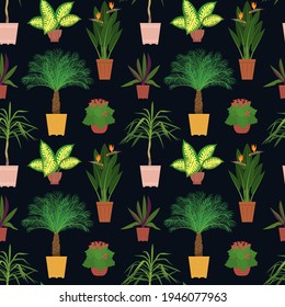Seamless pattern with potted tropical house plants in colorful flower pots. On a black background. Vector illustration.