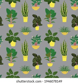 Patrón sin foco con macetas de plantas de casas tropicales en coloridas macetas de flores. En un fondo gris. Ilustración vectorial.