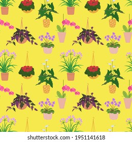 Seamless pattern with potted tropical house plants in colorful flower pots. On a yellow background. Vector illustration.
