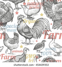 Seamless pattern with poultry, inscriptions. Vector illustration. Farm birds in style of vintage engraving. For packaging farm products, farm food shops. Goose, rooster, chicken, turkey, duck, quail.