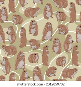 Seamless pattern with Prairie Dogs Cynomys gunnisoni in different poses. Wild rodents of North America. Realistic vector animals