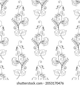 Seamless pattern with a print of flowering branches of sweet pea, pattern with black outline and white fill. 