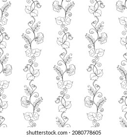 Nahtloses Muster mit Blütendruck von Süßerbsen, vertikales Ornament mit schwarzem Umriss und weißer Füllung. 