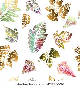 Seamless pattern of prints of autumn multicolor leaves of plants. Vector illustration isolated on white background for textiles, fabrics, packaging.