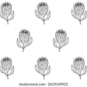 Seamless pattern with protea flower. Black and white vector background with tropical protea plant. For printing, packaging, web, branding, wallpaper, fabric, home textile. Hand drawn linear drawing.