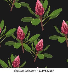 Seamless pattern with protea flowers with leaves. Decorative holiday floral background. Vintage vector illustration in hand drawn watercolor style. Black background.