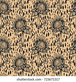 Seamless pattern with protea flowers, vector illustration in hand drawn style