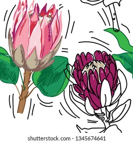 
Seamless pattern with proteas. Large African flower. Stylish illustration, colorful drawing.