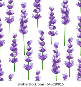 Seamless pattern of provence violet lavender flowers on a white background. Vector illustration.