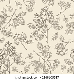 Seamless pattern with pterocarpus marsupium: pterocarpus marsupium plant, leaves, seeds and pterocarpus marsupium flowers. Indian kino tree. Cosmetic, perfumery and medical plant. Vector drawn