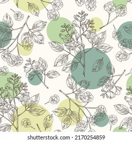 Seamless pattern with pterocarpus marsupium: pterocarpus marsupium plant, leaves, seeds and pterocarpus marsupium flowers. Indian kino tree. Cosmetic, perfumery and medical plant. Vector drawn