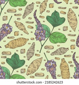 Seamless pattern with pueraria lobata: pueraria lobata plant, leaves, flowers and pueraria lobata root.  Cosmetic, perfumery and medical plant. Vector hand drawn illustration