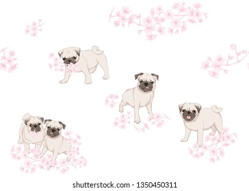 Seamless pattern with Pug dogs with blooming sakura spring flowers. Vector illustration. Isolated on white background.