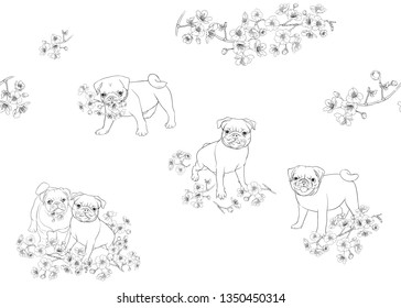 Seamless pattern with Pug dogs with blooming sakura spring flowers. Vector illustration. Outline hand drawing. Isolated on white background.