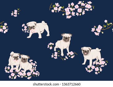 Seamless pattern with Pug dogs with blooming sakura spring flowers. Vector illustration on blue background.. 