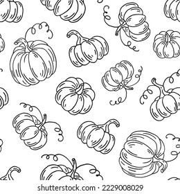 Seamless pattern with pumpkin. Hand drawn vector illustration. Farm market product, vegetable.