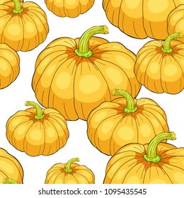 seamless pattern pumpkin is a real vegetable vegetarian  vector illustration