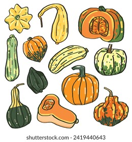 Seamless pattern Pumpkin. Various of Pumpkin, Chayote, Squash, Zucchini, Hubbard squash,Calabash, Bush pumpkin, Crookneck, Butternut, Vector Illustration	