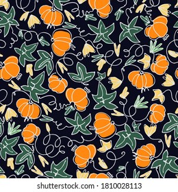 Seamless pattern with pumpkins on black background. Hand drawn vector illustration. Healthy vegetables concept, autumn concept, Thanksgiving concept