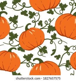 Seamless pattern with pumpkins. Vector seamless pattern. Halloween illustration. October harvest. Organic vegetable garden food. Nature design. Thanksgiving day. Fall season