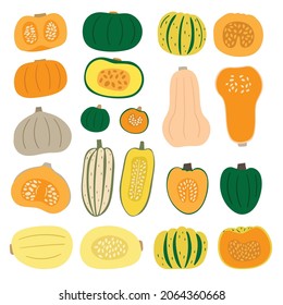 Seamless pattern Pumpkin.Various of Pumpkin. Chayote, Squash, Zucchini, Hubbard squash,Calabash, Bush pumpkin, Crookneck, Butternut. Vector Illustration