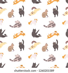 Seamless pattern with purebred cats sleeping, walking, washing, stretching itself on white background. Backdrop with adorable pets. Flat cartoon vector illustration for wallpaper, textile print.