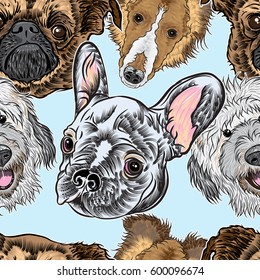 Seamless pattern with purebred cute character portrait dogs. Hand drawn vector wallpaper surface texture with small puppy Labradoodle, Collie, Pug, French Bulldog . Friendly doggy endless background. 