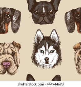 Seamless pattern with purebred dogs. Vector texture with portraits pets. Hand drawn vector surface wallpaper with sharpei, french bulldog, husky and dachshund.