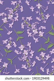 Seamless pattern of Purple color flower background template on violet background. Vector set of floral element for wedding invitations, greeting card, brochure, banners and fashion design.