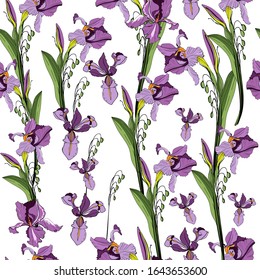 Seamless pattern with purple iris flowers. Vector illustration Creative realistic doodle tattoo. Vintage paintings, postcards, background, wallpaper. Interior Design. Gift Flowers for Women