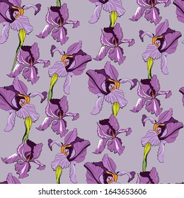 Seamless pattern with purple iris flowers. Vector illustration Creative realistic doodle tattoo. Vintage paintings, postcards, background, wallpaper. Interior Design. Gift Flowers for Women