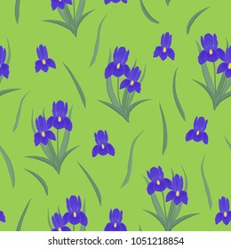 Seamless pattern with purple irises and leaves on a green background. It can be used for websites, packing of gifts, registration of notebooks, tiles fabrics backgrounds. Vector illustration.