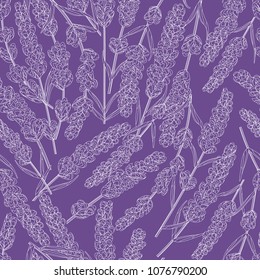 seamless pattern of purple lavender flowers in watercolor style flowers. vector background