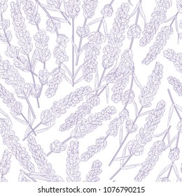seamless pattern of purple lavender flowers in watercolor style flowers. vector background