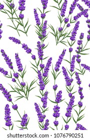 seamless pattern of purple lavender flowers in watercolor style flowers. vector background