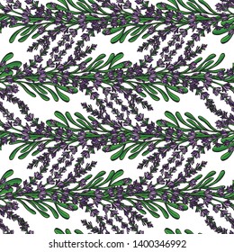 Seamless pattern of purple lavender flowers. Vector background. Perfect for wallpapers, web page backgrounds, surface textures, textile.