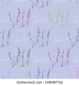Seamless pattern with purple lavender herbs and lavender hand lettering. Black outline floral botanical illustration on blue background. Vintage sketch backdrop or card design.