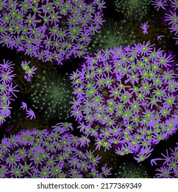 Seamless pattern purple onion flowers on a dark background. Vector illustration