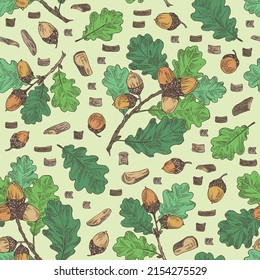 Seamless pattern with quercus: branch of oak, leaves, oak bark, quercus tree and oak acorn. Cosmetics and medical plant. Vector hand drawn illustration.