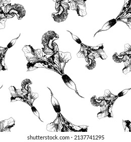  Patrón sin foco de rábano. Arte grabado. Comida ecológica vegetariana orgánica. Uso para restaurante, menú, mercado, tienda. Esbozo elegante en blanco y negro con tinta. Ilustración del vector aislada en fondo blanco