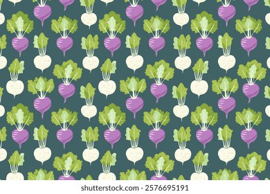 Seamless pattern with radish. Vector illustration. Vegetable background.